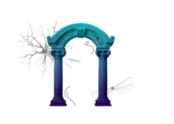 3160_MSCA_CHEU_News Item