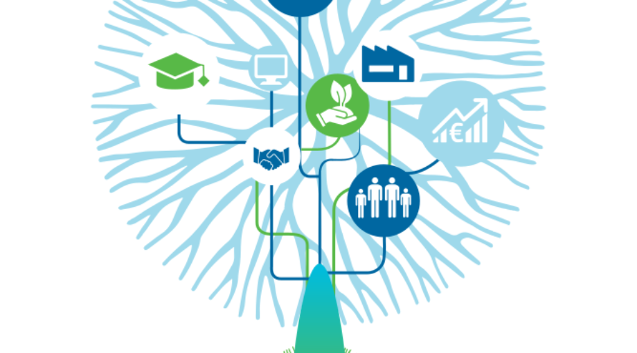 Expert workshop on the valorisation of multidisciplinary and Social Science and Humanities Research