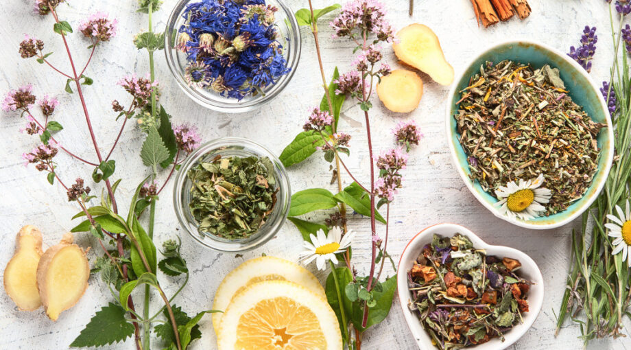Differentes plantes - herbes pour tisanes - medecine naturelle