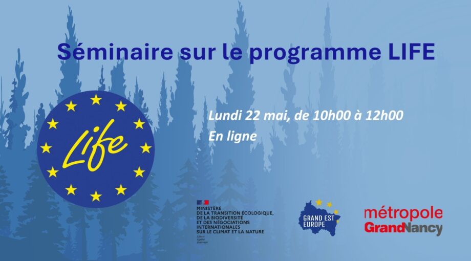 Invitation Webinaire Europe en 1h