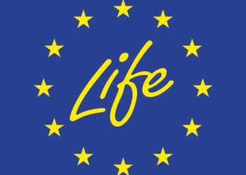 life-logo